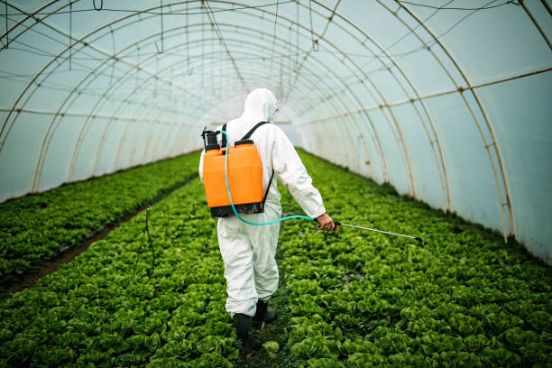 Best Mosquito Control Services  in Liberty, SC