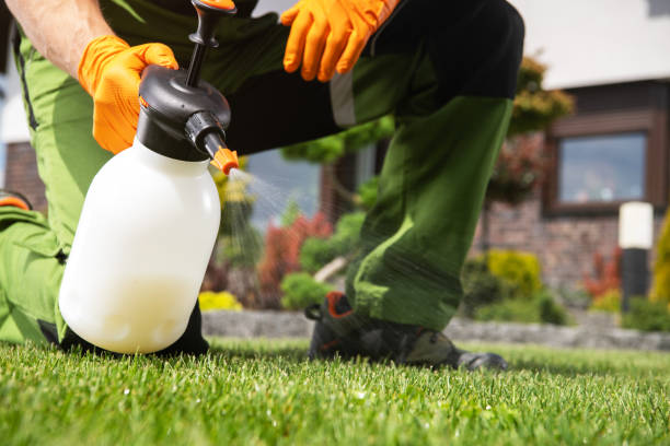 Reliable Liberty, SC Pest Control Solutions
