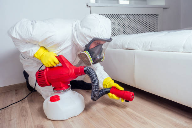 Best Insect Control  in Liberty, SC
