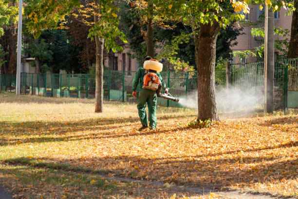 Best Pest Removal Services  in Liberty, SC
