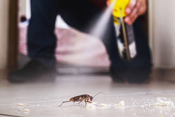 Best Local Pest Control Services  in Liberty, SC