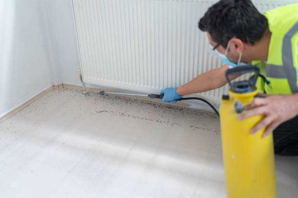 Best Flea Control Services  in Liberty, SC